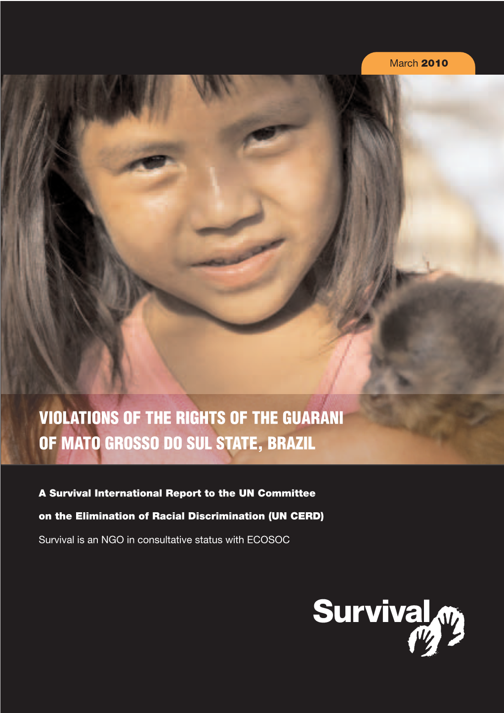 Violations of the Rights of the Guarani of Mato Grosso Do Sul State, Brazil