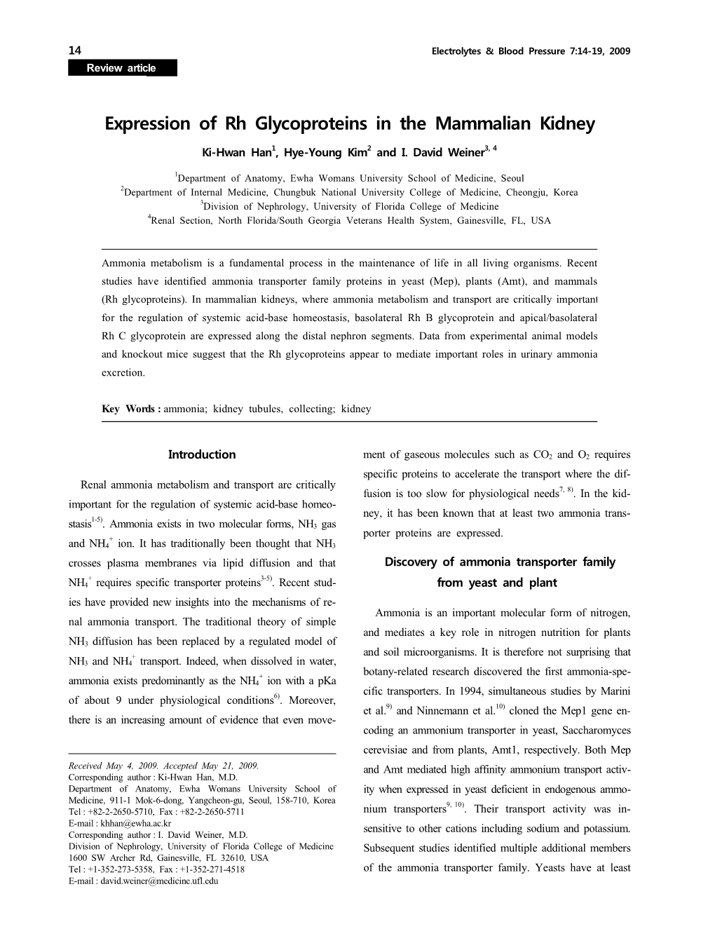 Expression of Rh Glycoproteins in the Mammalian Kidney