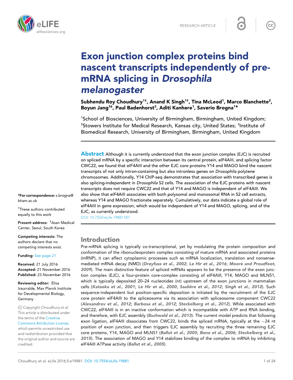 Exon Junction Complex Proteins Bind Nascent Transcripts Independently