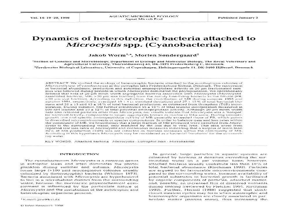 Cyanobacteria)