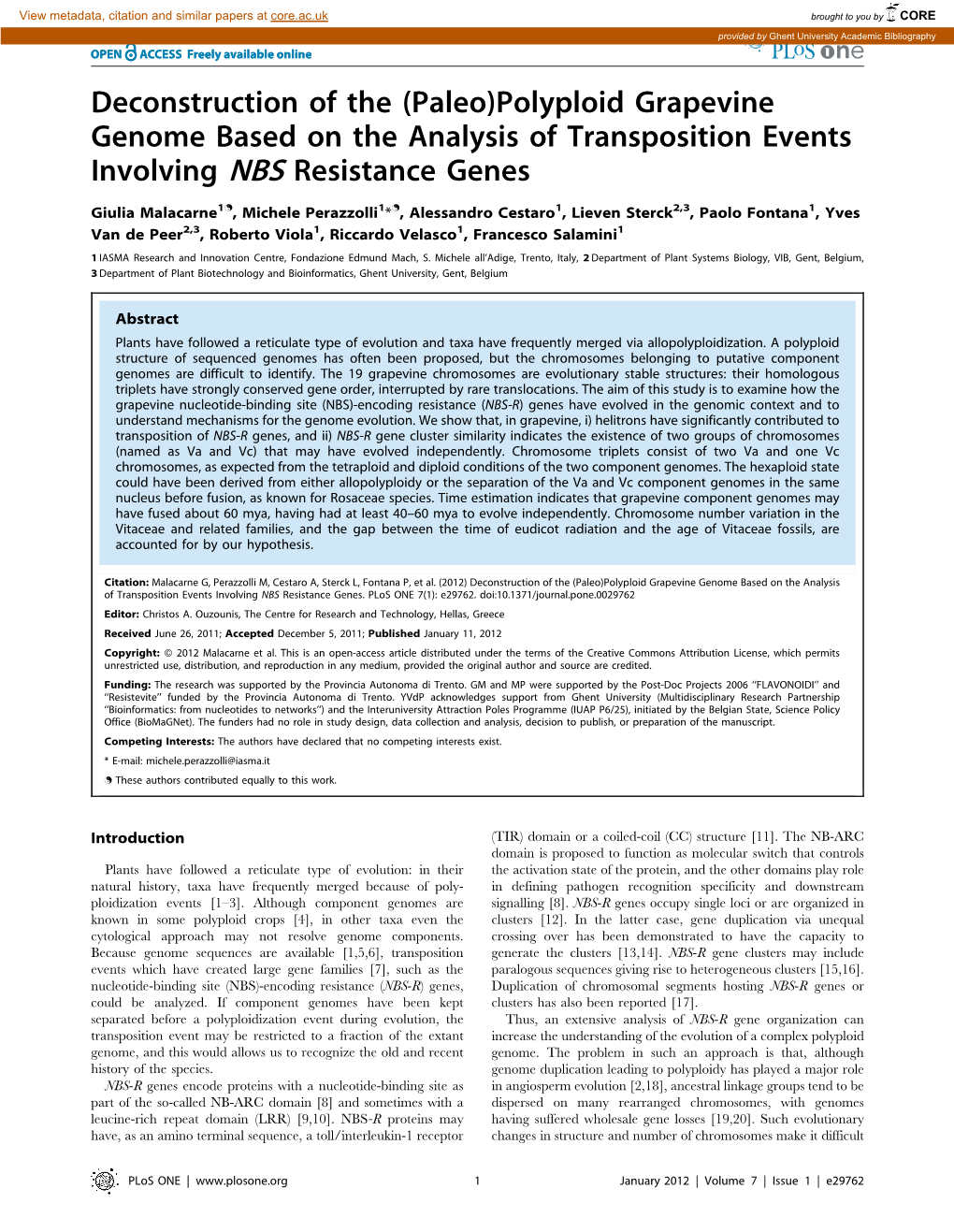 Polyploid Grapevine Genome Based on the Analysis of Transposition Events Involving NBS Resistance Genes