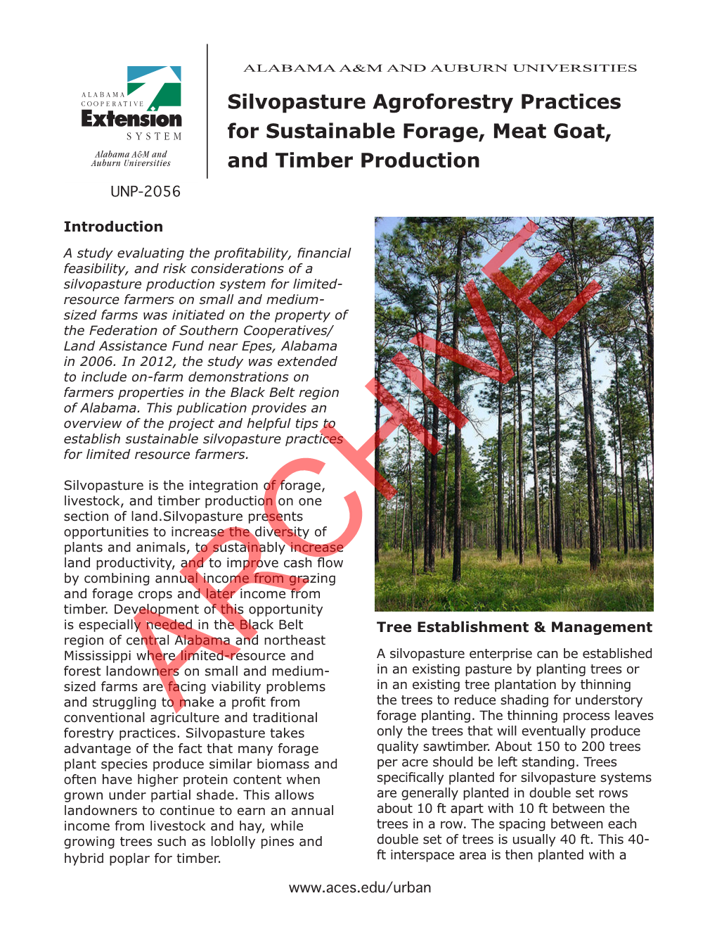Silvopasture Agroforestry Practices for Sustainable Forage, Meat Goat, and Timber Production