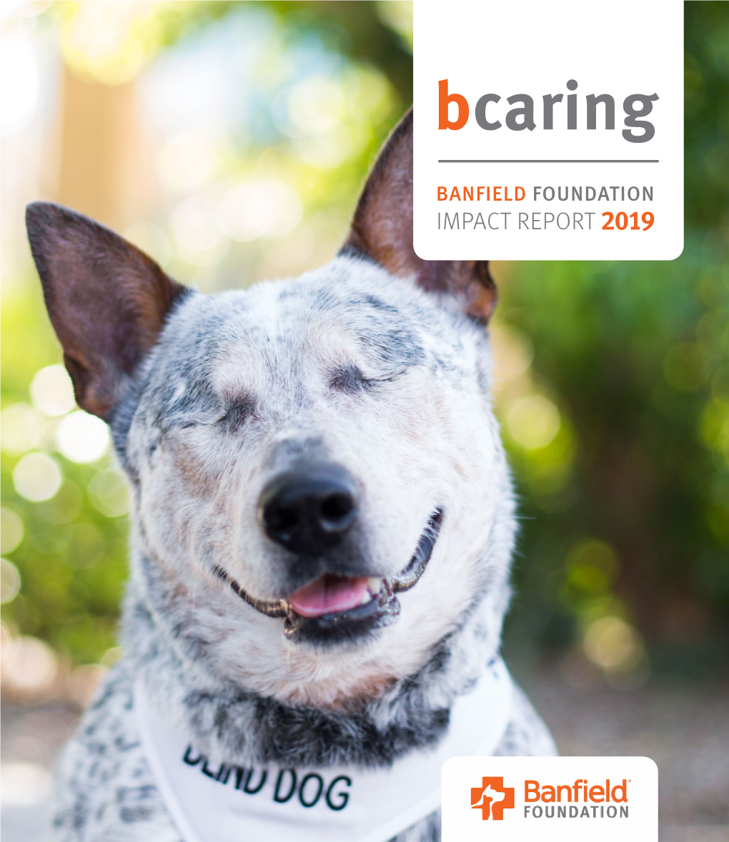 2019 Banfield Impact Report