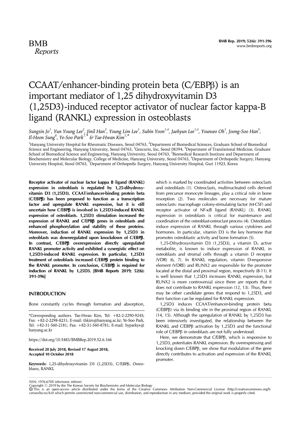 CCAAT/Enhancer-Binding Protein Beta (C/Ebpβ)