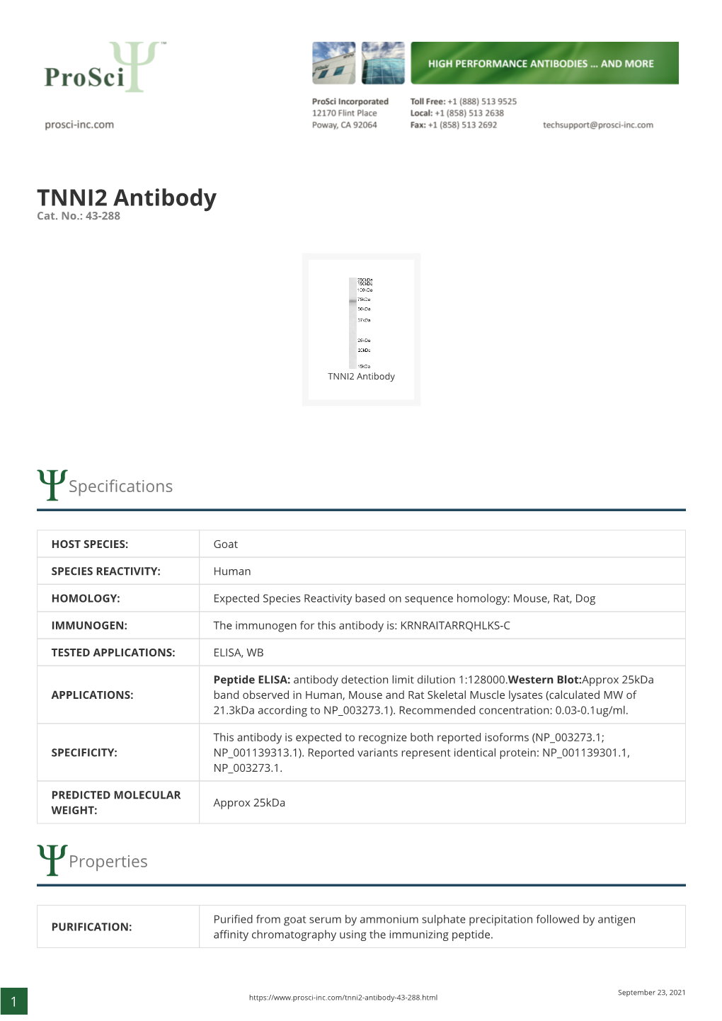 TNNI2 Antibody Cat