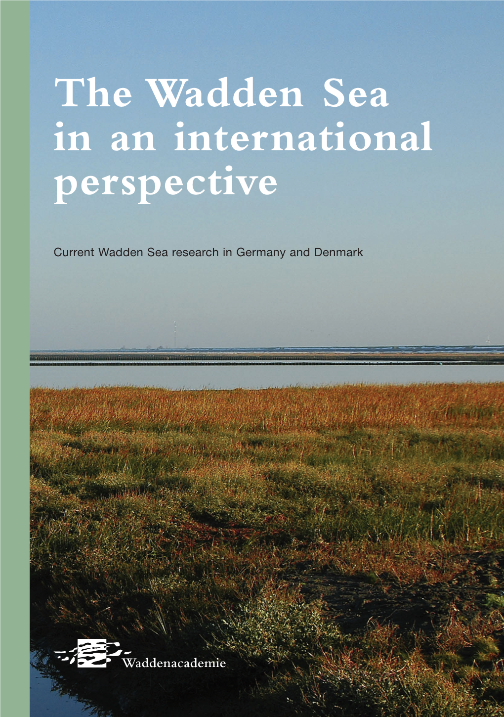 The Wadden Sea in an International Perspective