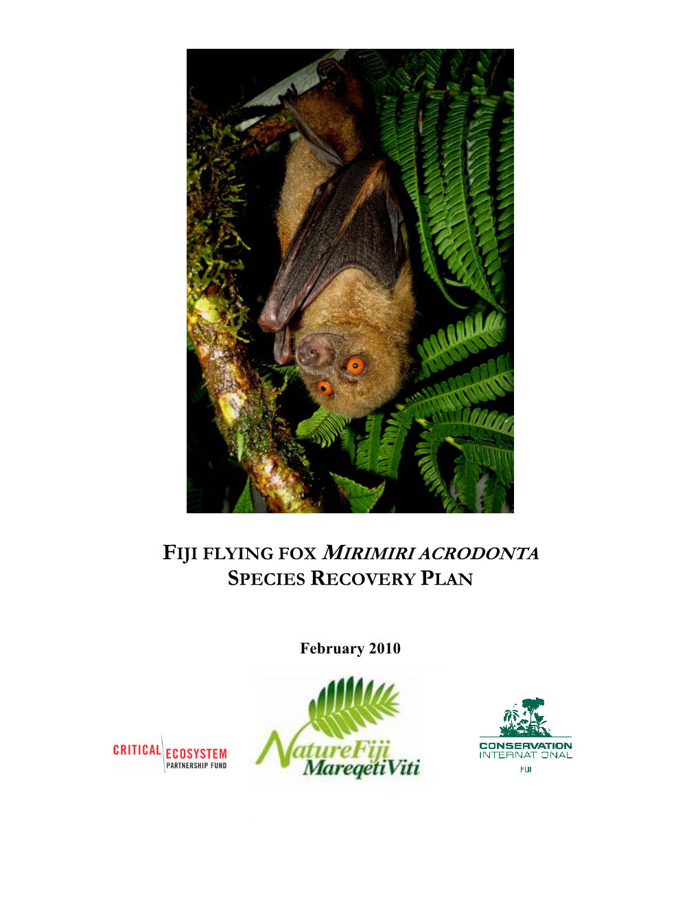 Fiji Flying Fox Mirimiri Acrodonta Species Recovery Plan