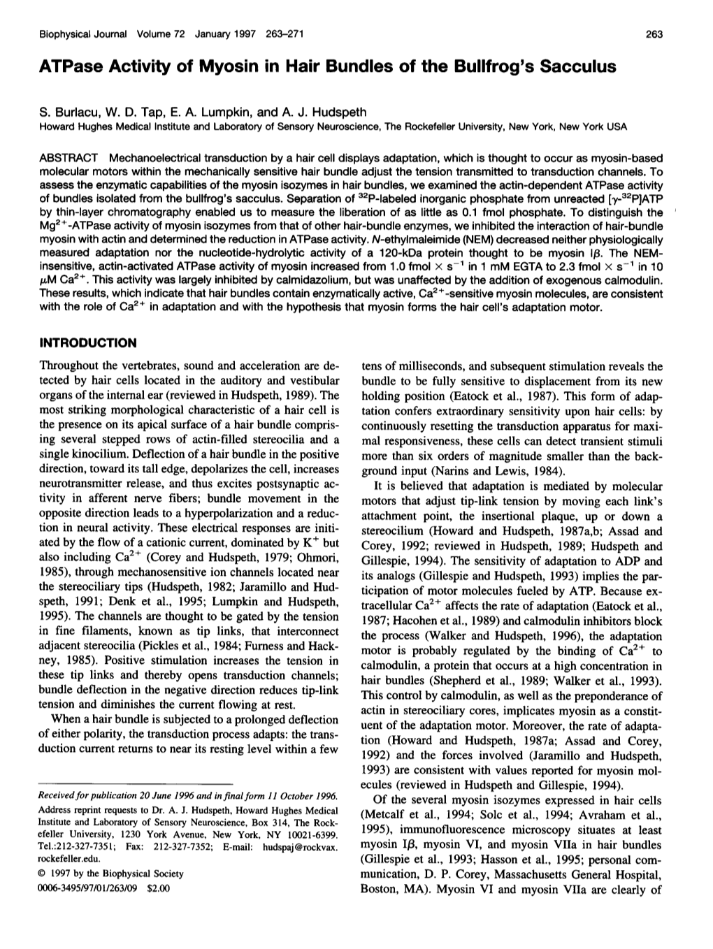 Atpase Activity of Myosin in Hair Bundles of the Bullfrog's Sacculus