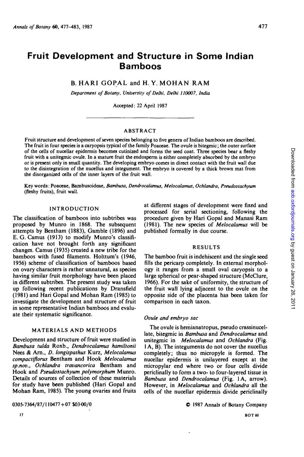 Fruit Development and Structure in Some Indian Bamboos B