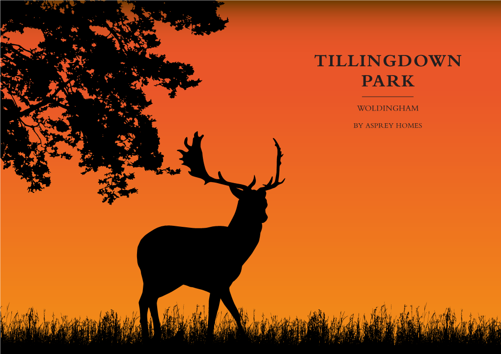 Tillingdown Park