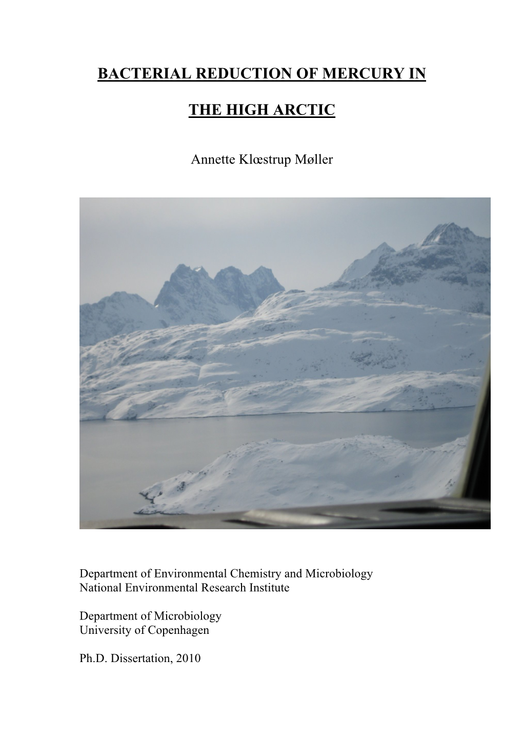 Bacterial Reduction of Mercury in the High Arctic