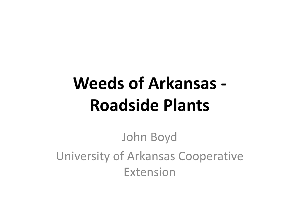 Roadside Plants
