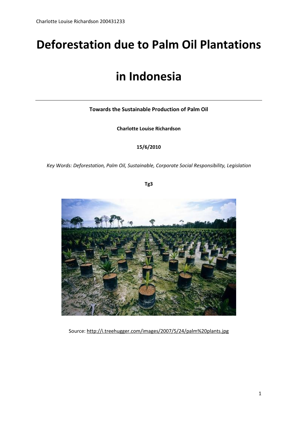The Palm Oil Research Project