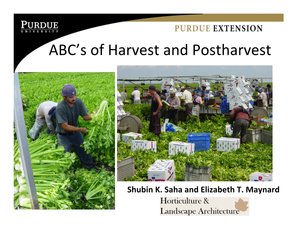 Abcs of Harvest and Postharvest of Vegetables.Pptx