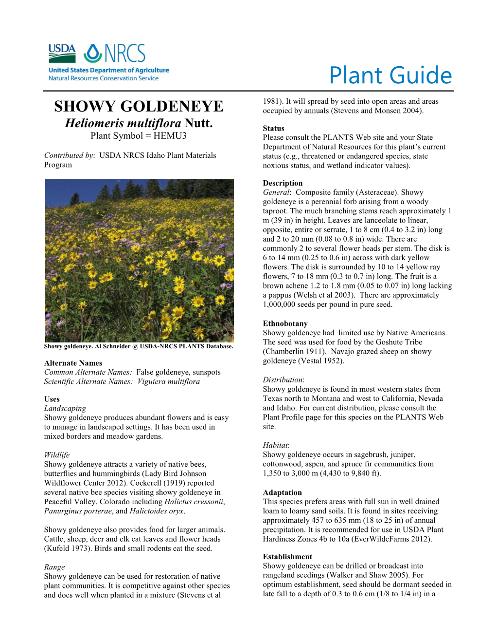 Plant Guide for Showy Goldeneye (Heliomeris Multiflora)