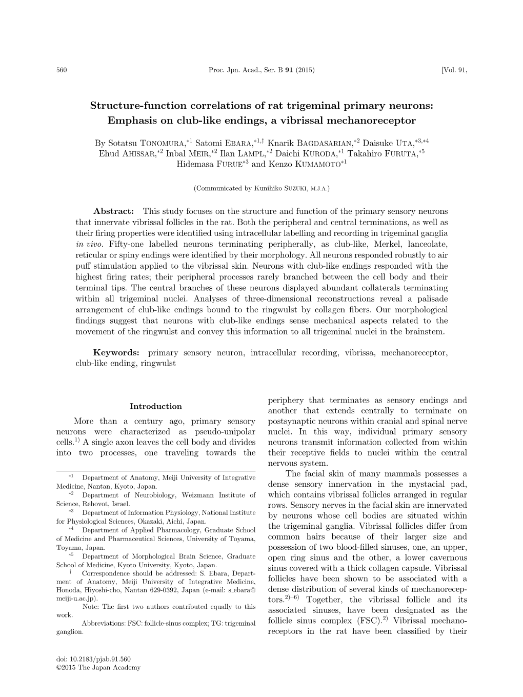 Structure-Function Correlations of Rat Trigeminal Primary Neurons: Emphasis on Club-Like Endings, a Vibrissal Mechanoreceptor