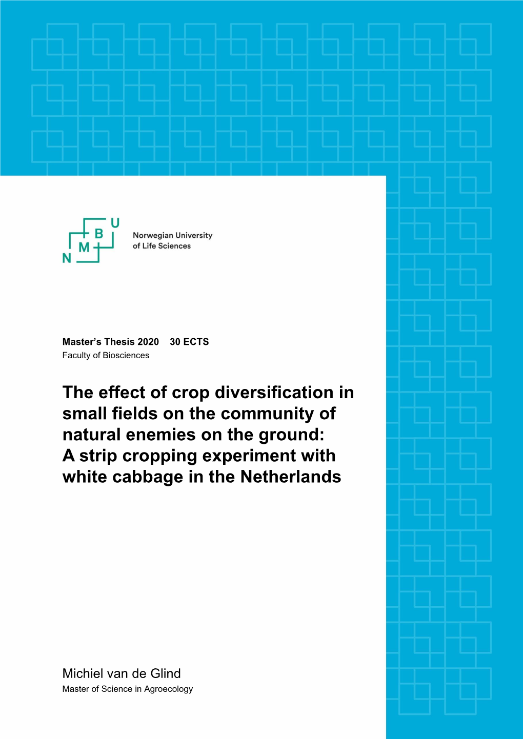 Msc Thesis Michiel Van De Glind 2020
