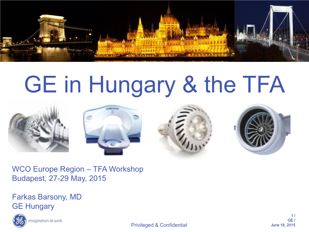 GE in Hungary & The