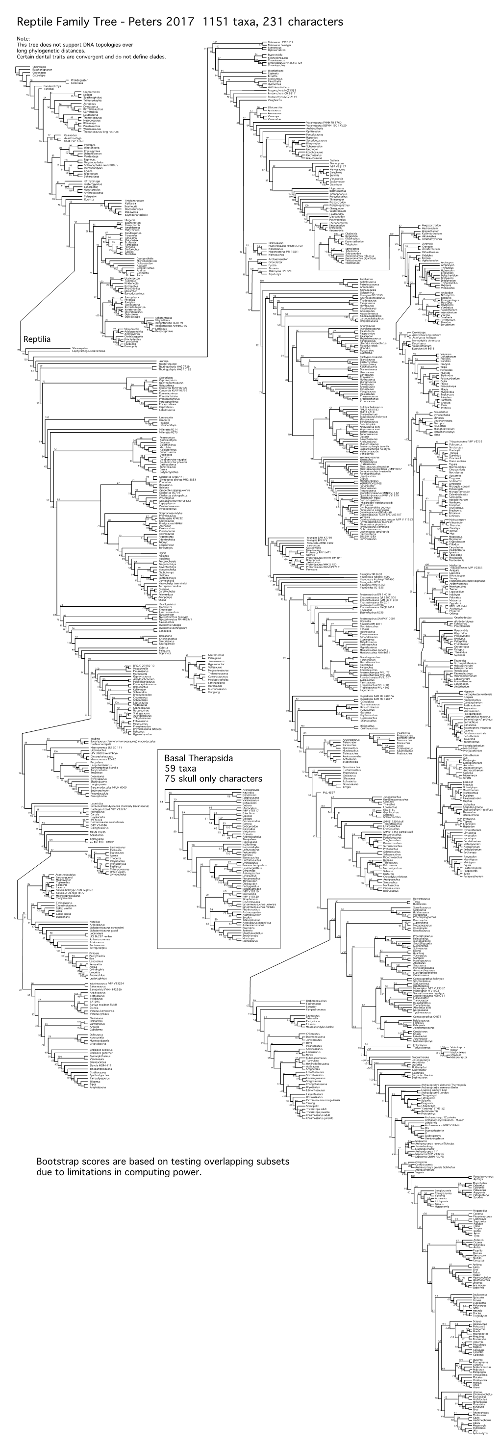 Reptile Family Tree - Peters 2017 1151 Taxa, 231 Characters