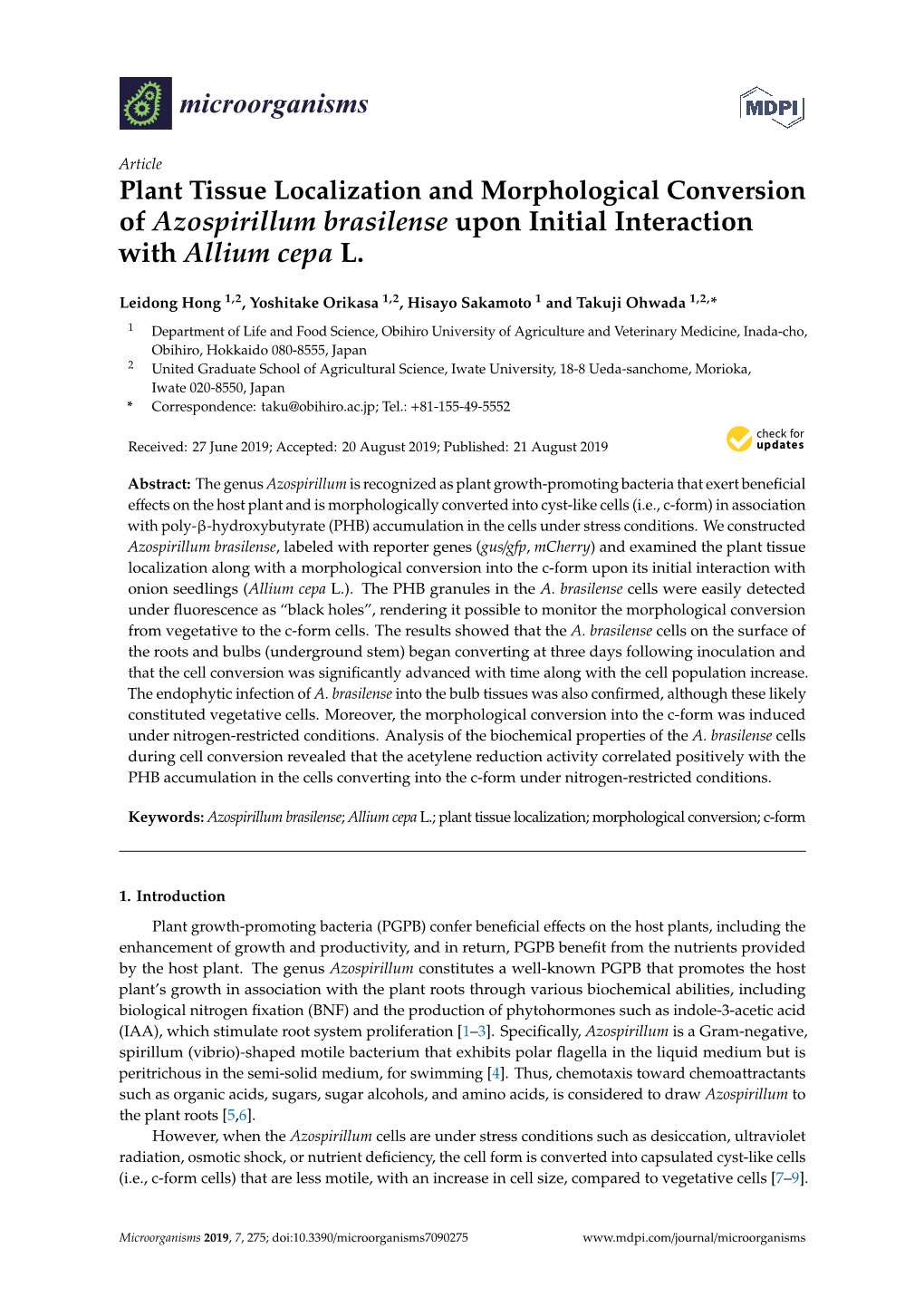 Plant Tissue Localization and Morphological Conversion of Azospirillum Brasilense Upon Initial Interaction with Allium Cepa L