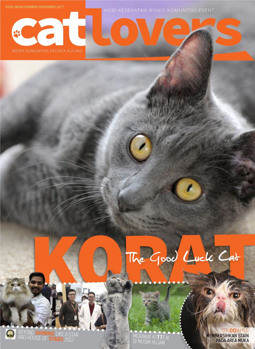 Download Majalah Cat Lovers Edisi 8