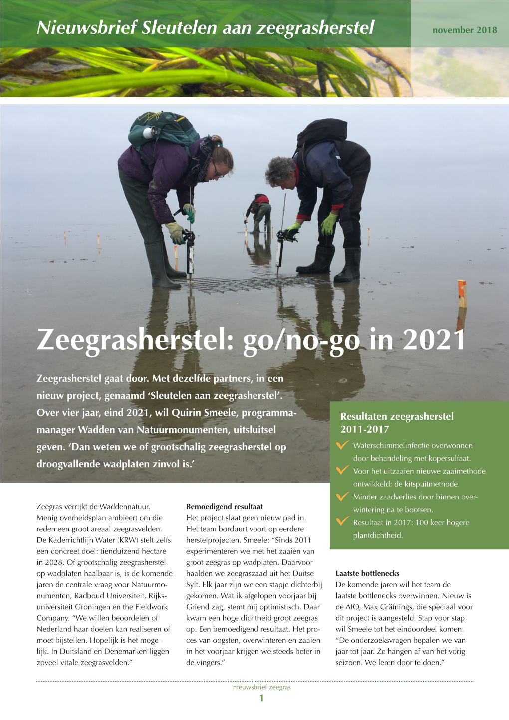 Zeegrasherstel: Go/No-Go in 2021
