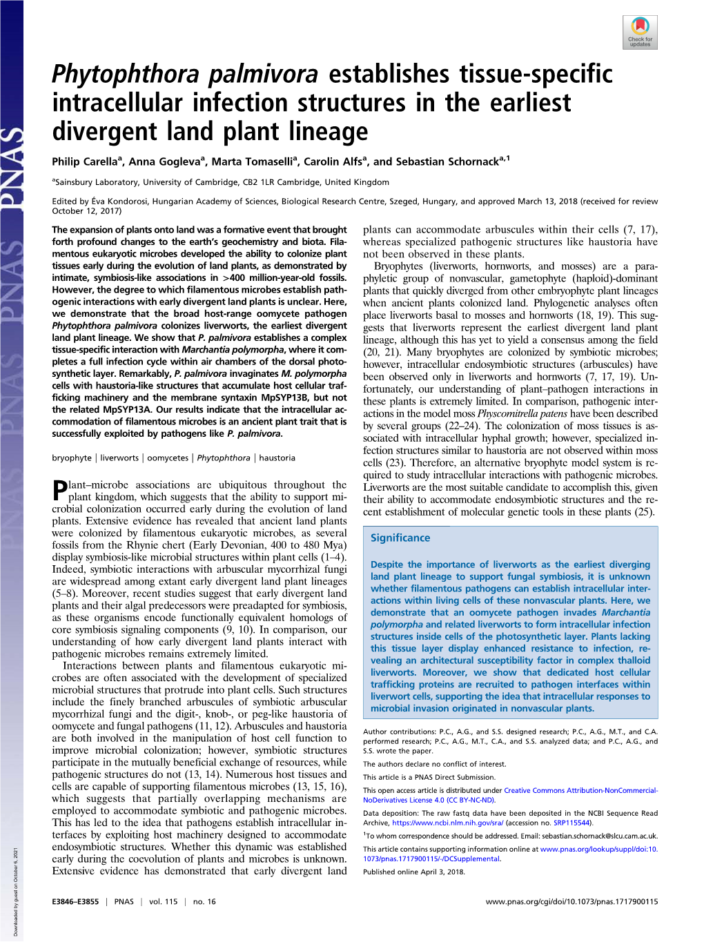 Phytophthora Palmivora Establishes Tissue-Specific Intracellular Infection Structures in the Earliest Divergent Land Plant Lineage