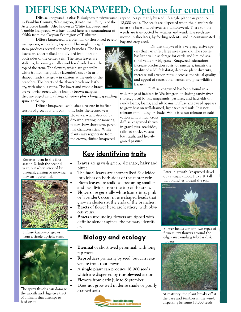 DIFFUSE KNAPWEED: Options for Control Diffuse Knapweed, a Class-B Designate Noxious Weed Reproduces Primarily by Seed