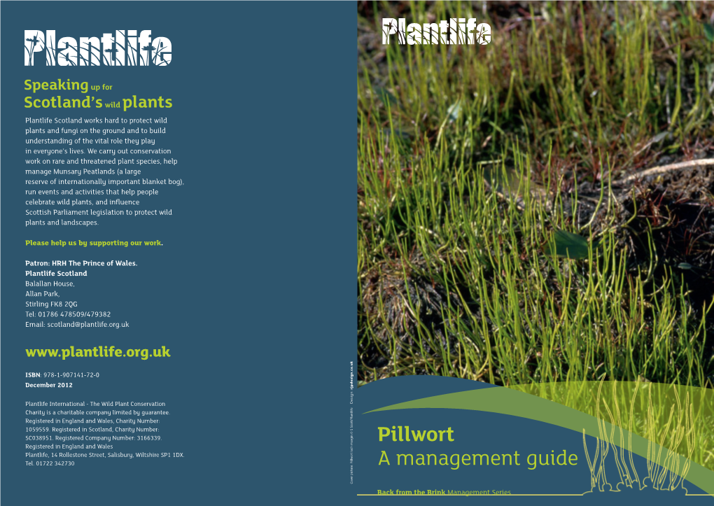 Pillwort Leaflet