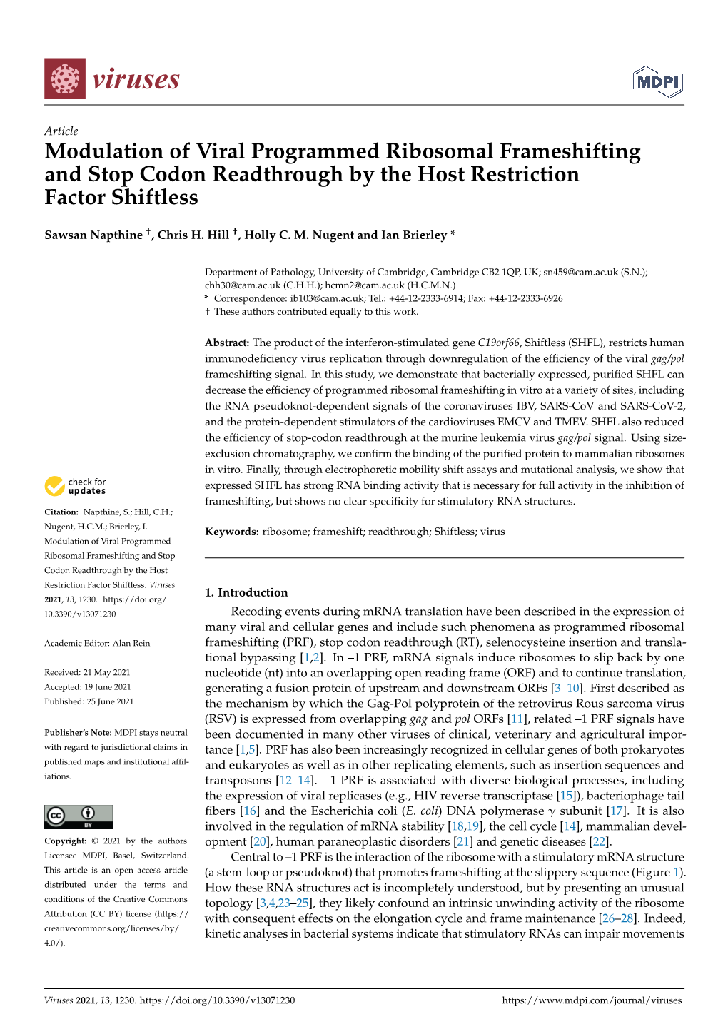 Modulation of Viral Programmed Ribosomal Frameshifting and Stop Codon Readthrough by the Host Restriction Factor Shiftless