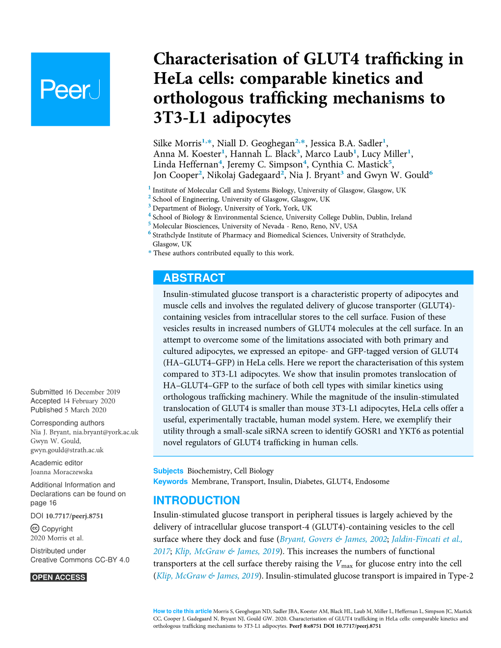 Characterisation of GLUT4 Trafficking in Hela Cells