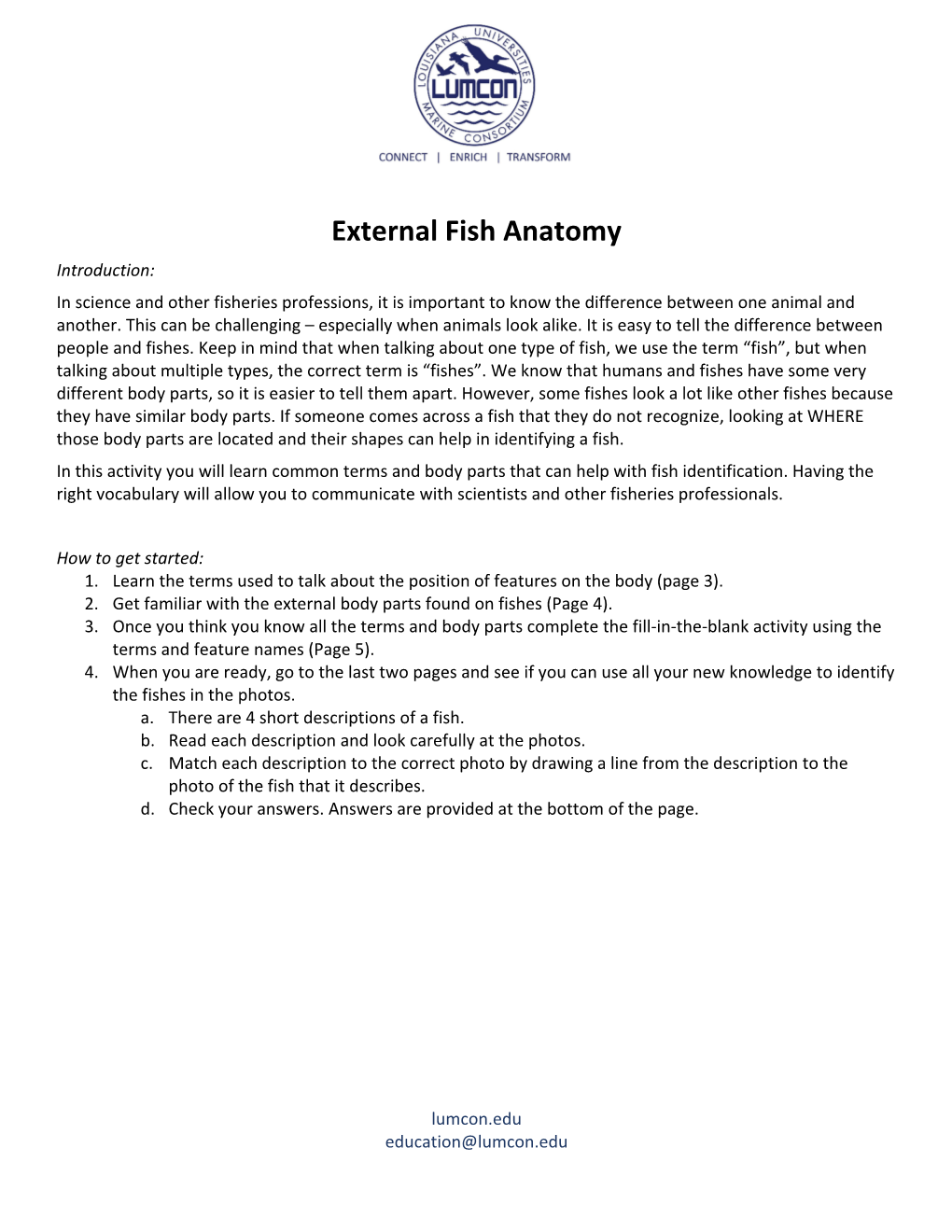 External Fish Anatomy Introduction: in Science and Other Fisheries Professions, It Is Important to Know the Difference Between One Animal and Another