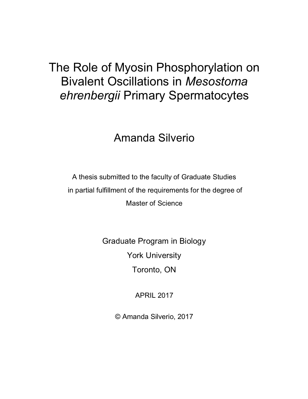 Mesostoma Ehrenbergii Primary Spermatocytes