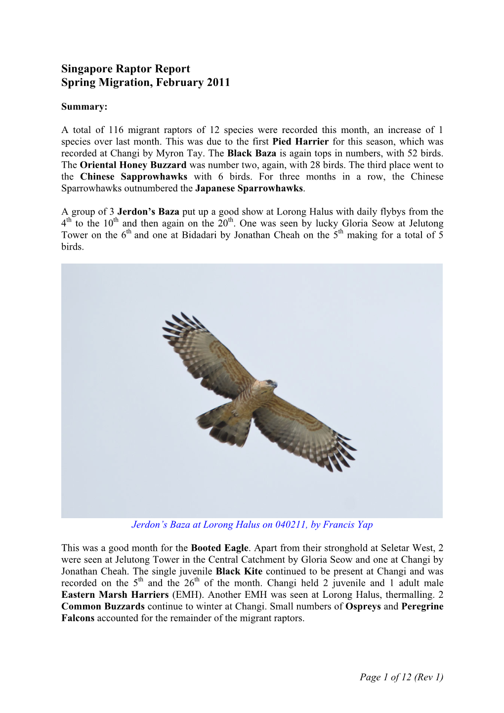 Singapore Raptor Report Spring Migration, February 2011