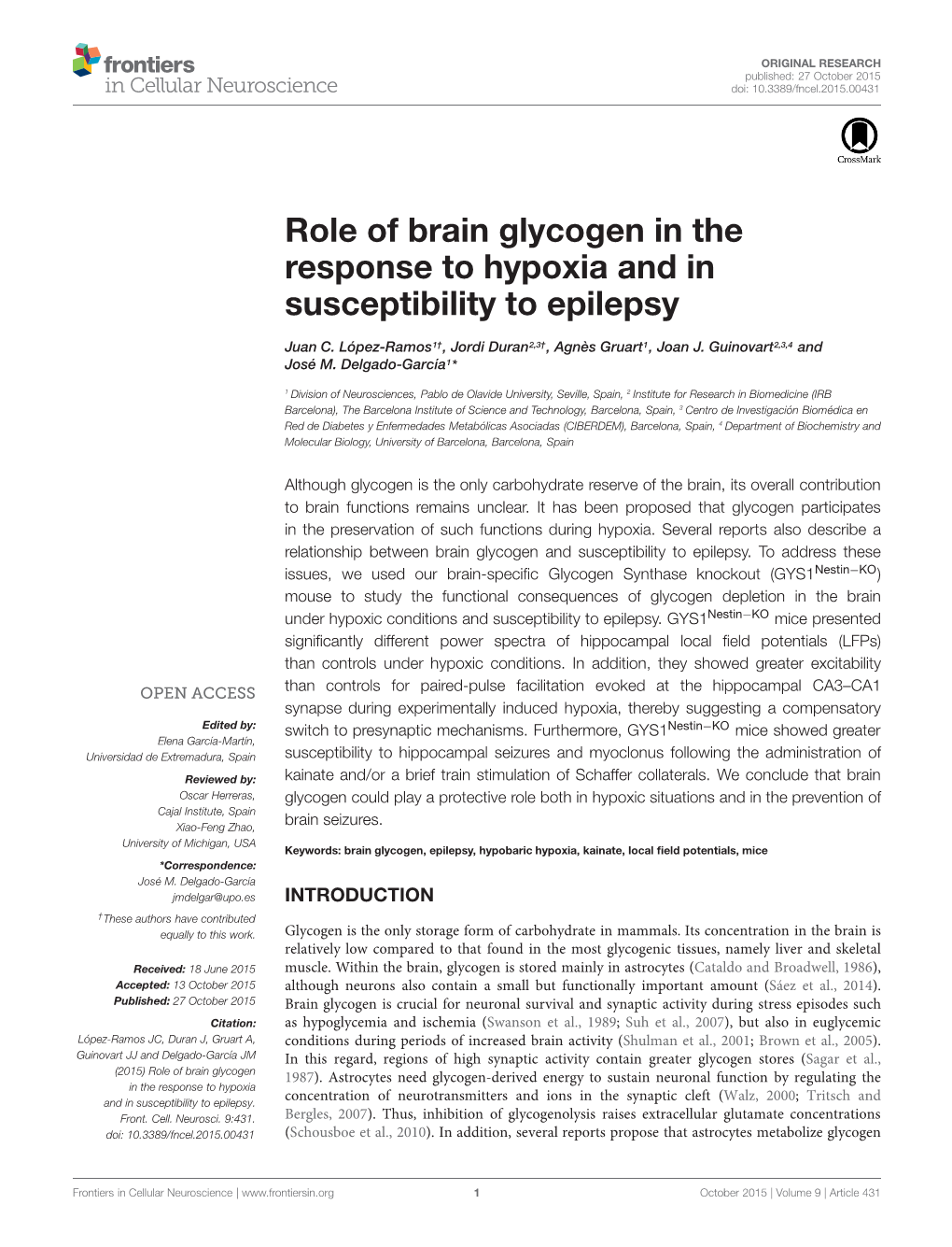 Role of Brain Glycogen in the Response to Hypoxia and in Susceptibility to Epilepsy