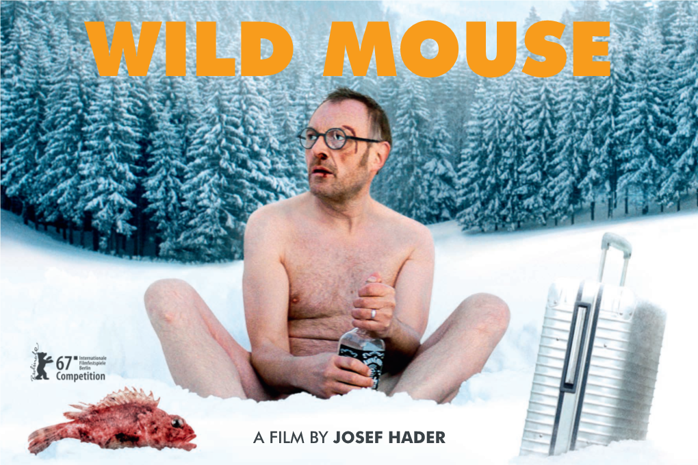 A Film by Josef Hader Synopsis