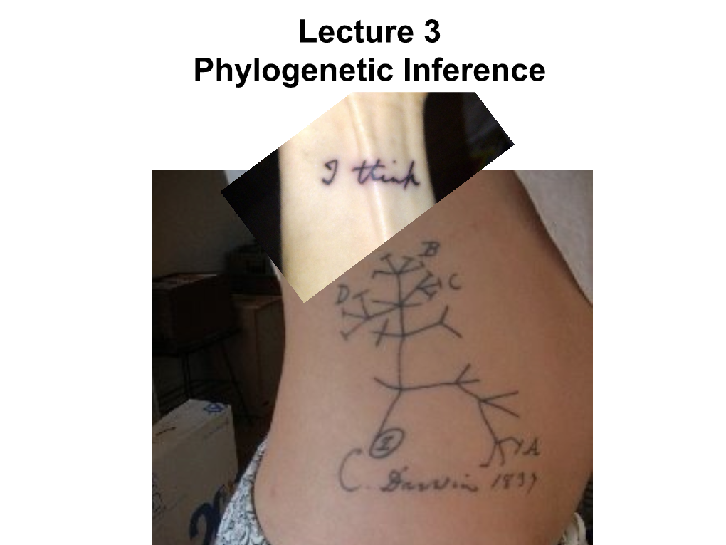 Lecture 3 Phylogenetic Inference from Darwin’S Notebook in 1837