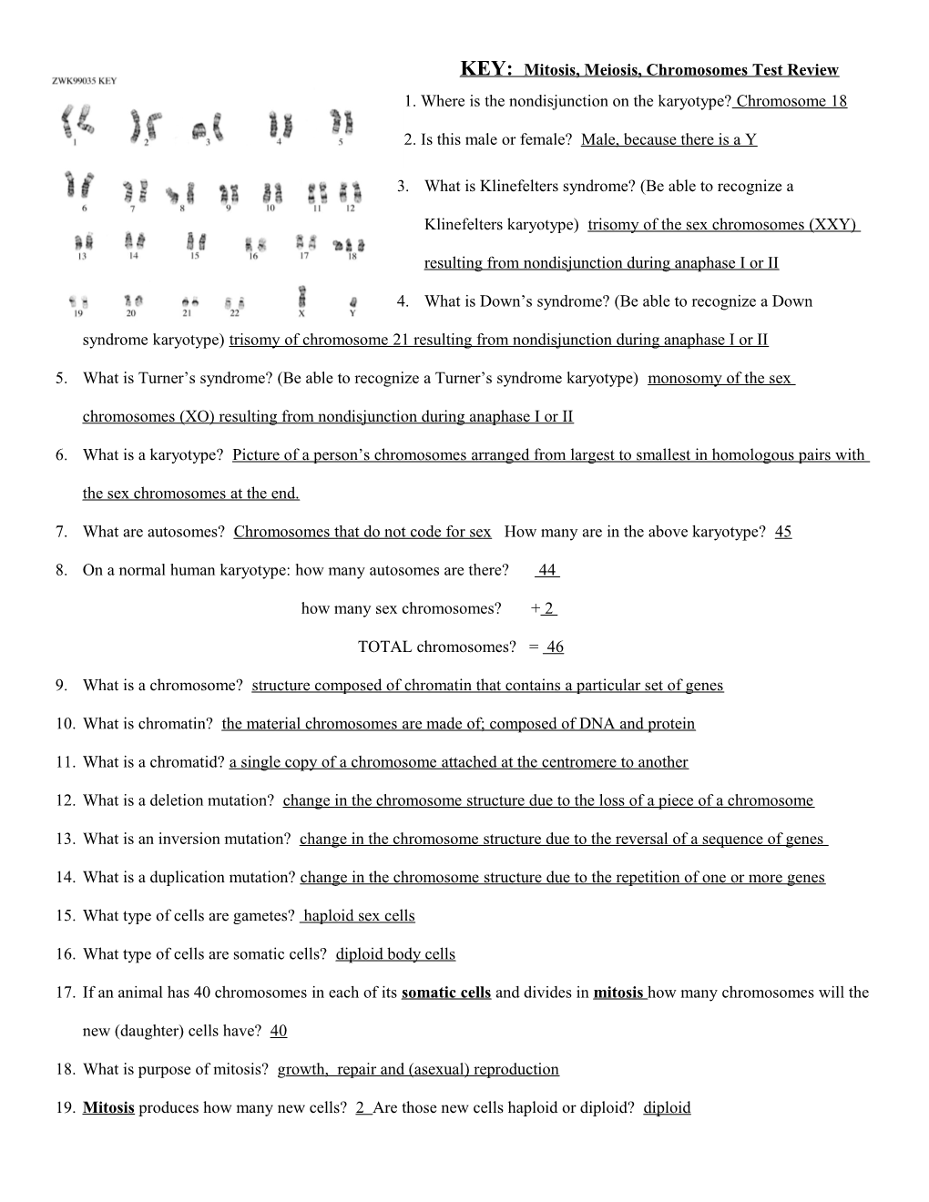 Mitosis, Meiosis, Chromosomes and DNA Replication Test