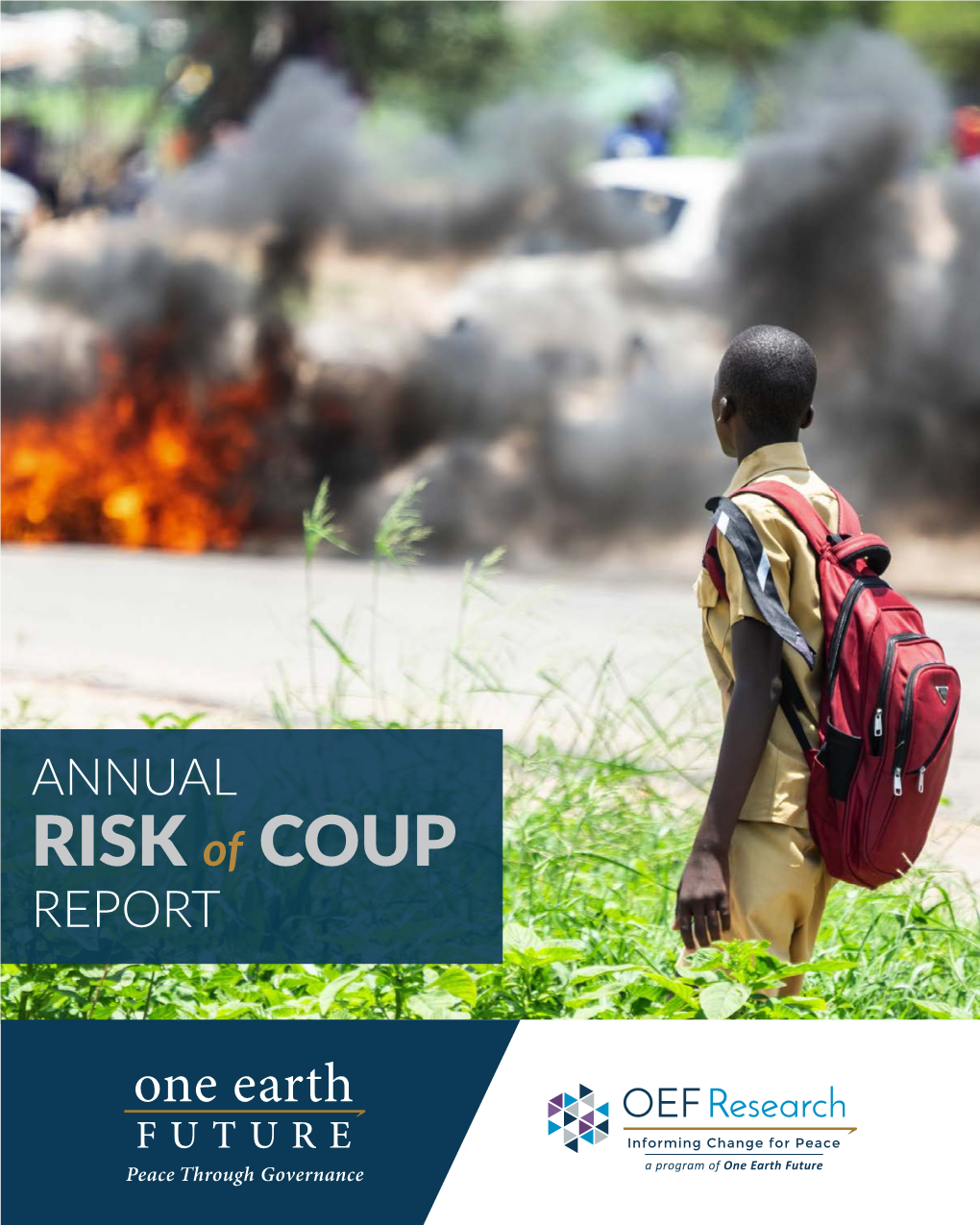 ANNUAL RISK of COUP REPORT ANNUAL RISK of COUP REPORT