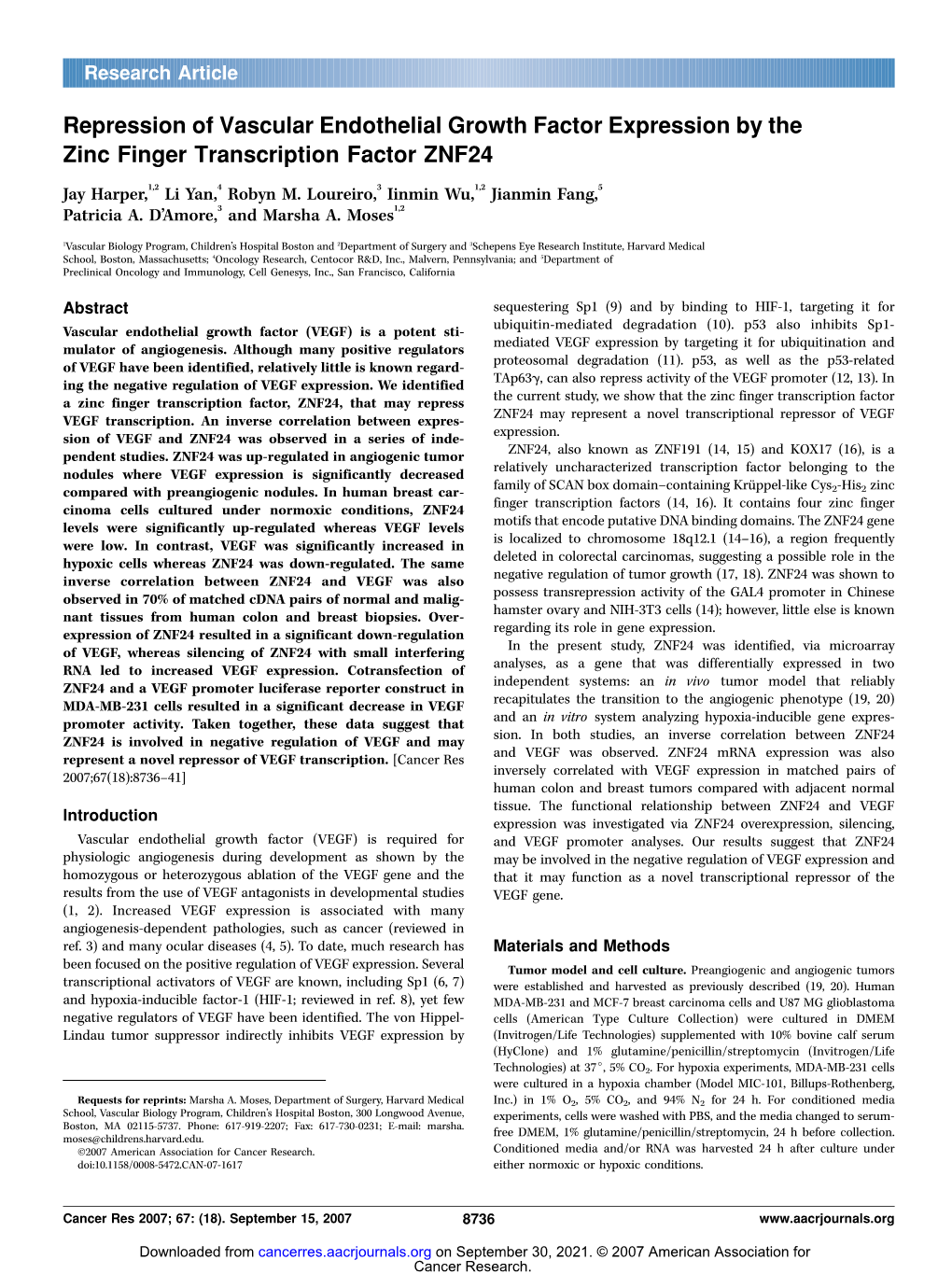 Repression of Vascular Endothelial Growth Factor Expression by the Zinc Finger Transcription Factor ZNF24