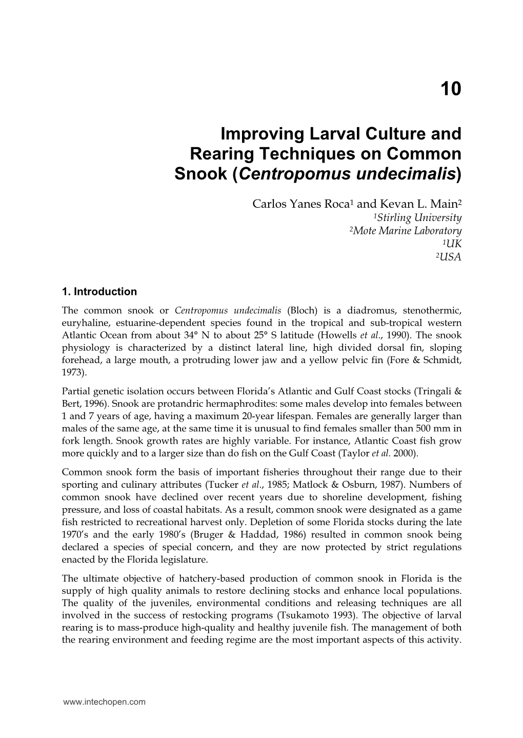 Improving Larval Culture and Rearing Techniques on Common Snook (Centropomus Undecimalis)