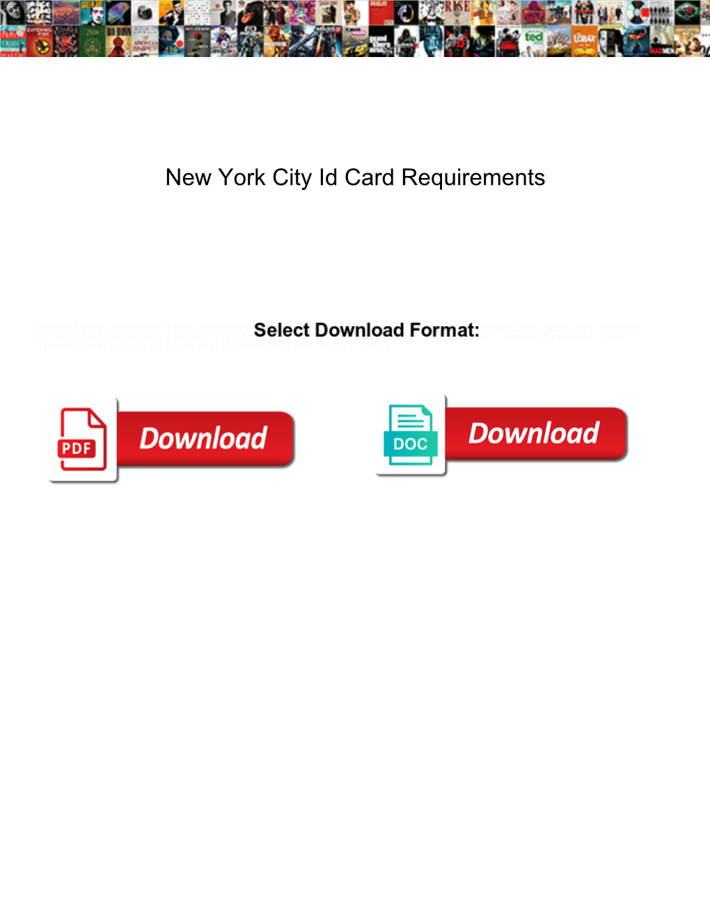 New York City Id Card Requirements