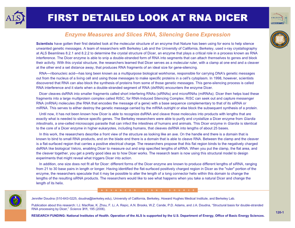 First Detailed Look at Rna Dicer