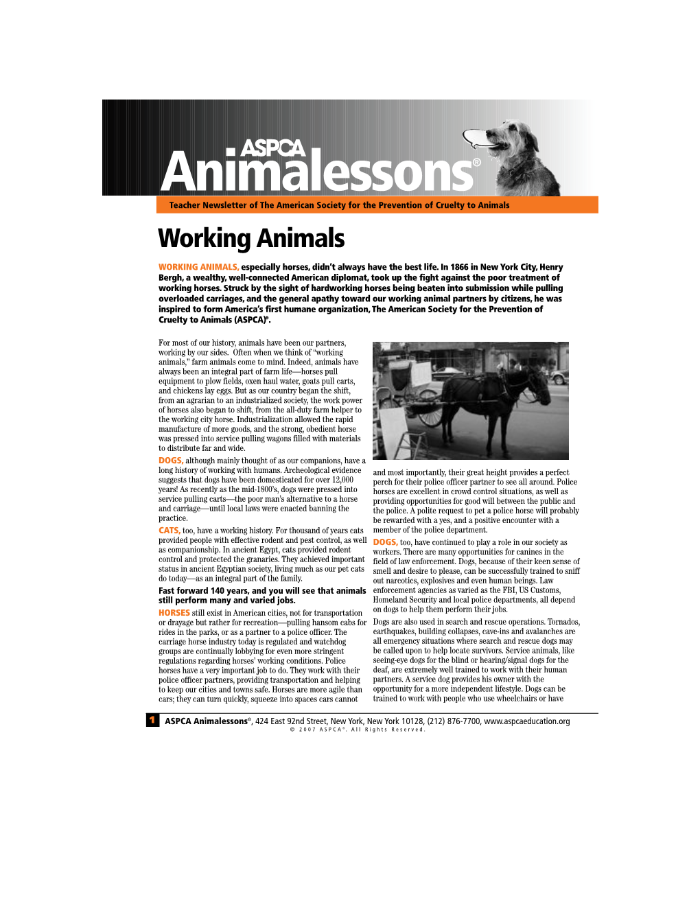 Working Animals 2