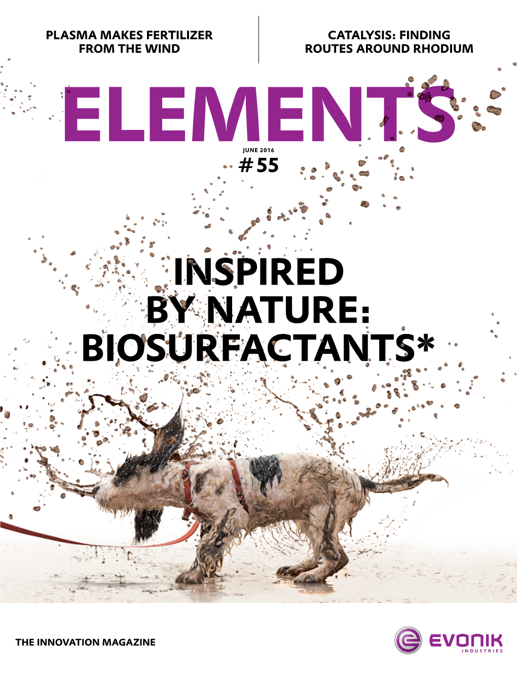 Inspired by Nature: Biosurfactants* Elements #55 June 2016