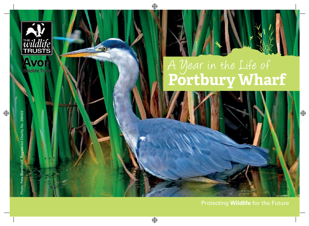 Portbury Wharf Nature Reserve