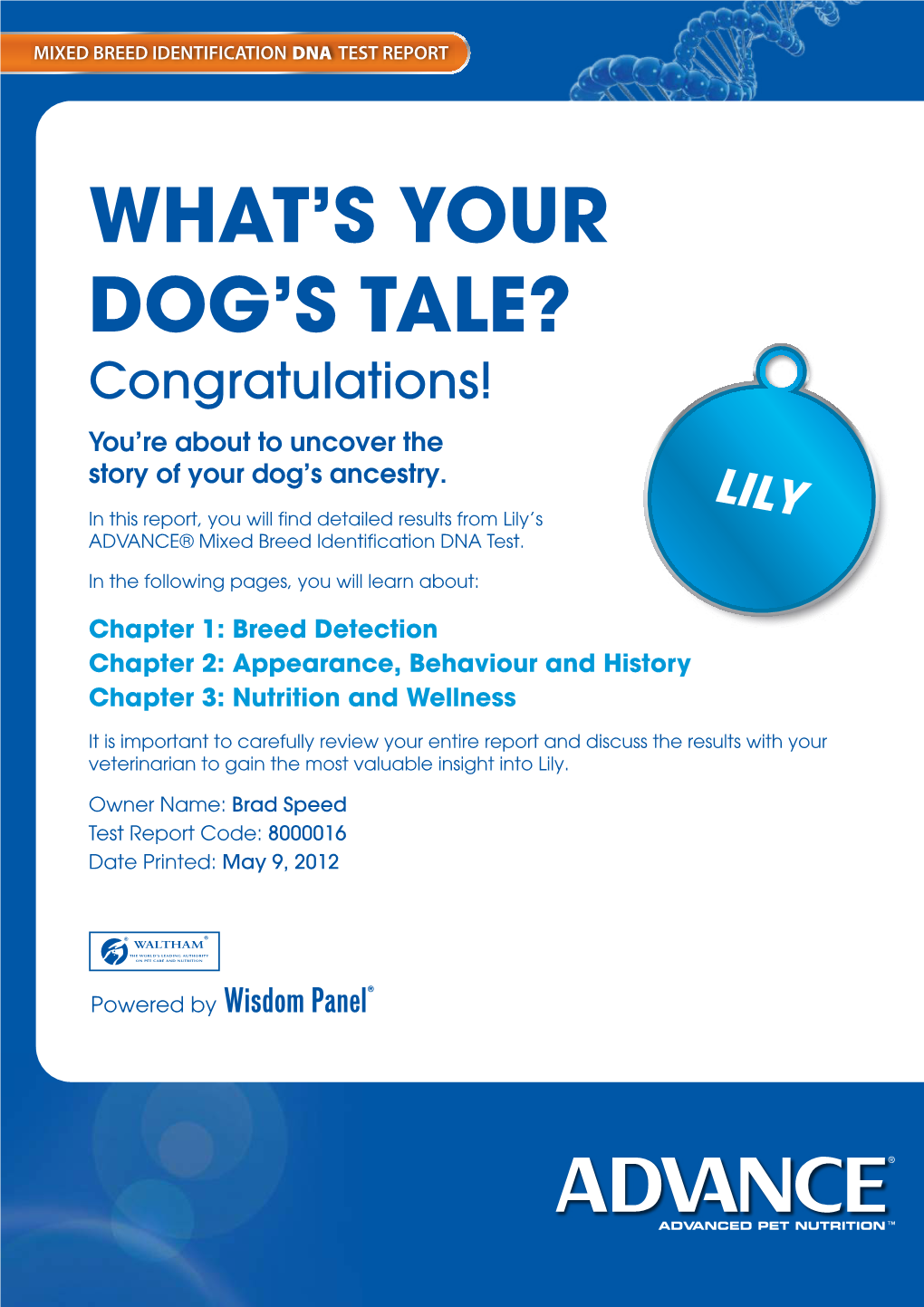 What's Your Dog's Tale?