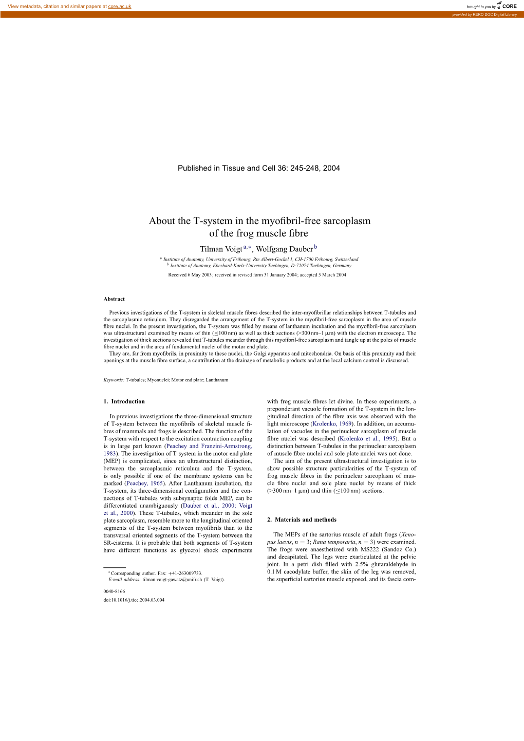 About the T-System in the Myofibril-Free Sarcoplasm of the Frog