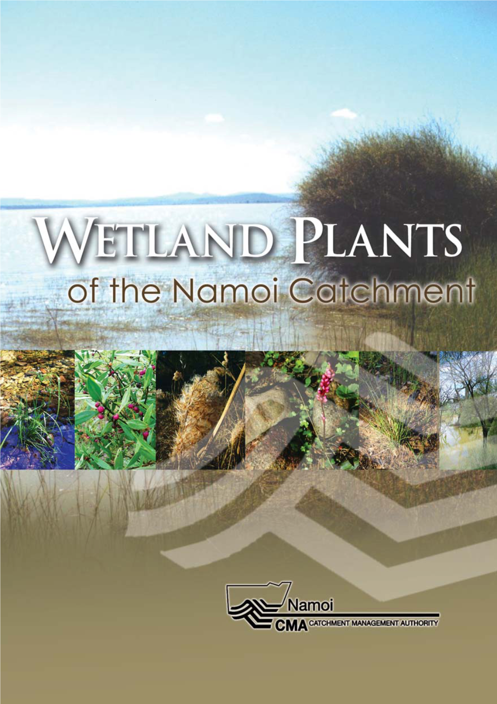 Wetland Plants of the Namoi Catchment 8 References 38 Glossary 39 Index 40