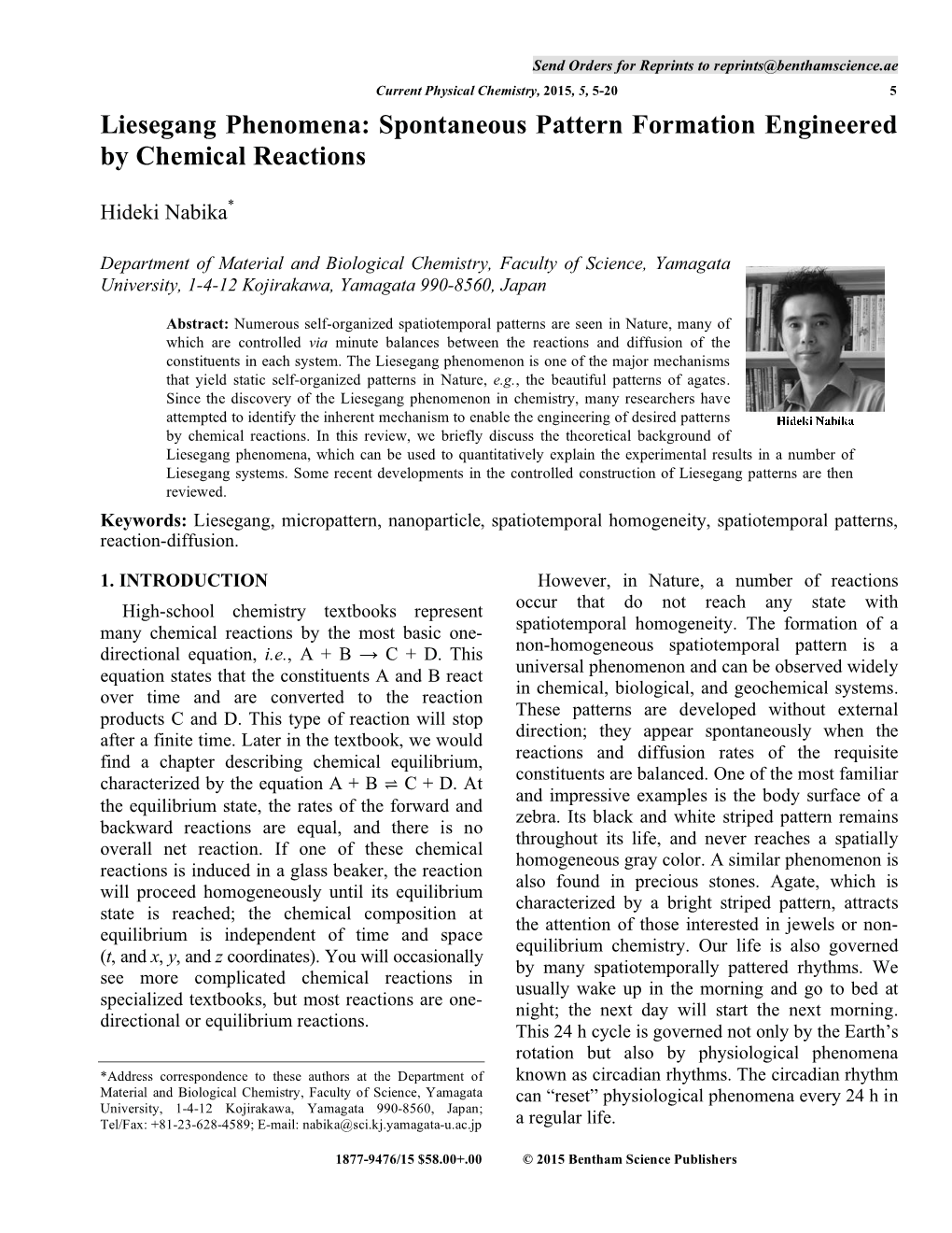 Liesegang Phenomena: Spontaneous Pattern Formation Engineered by Chemical Reactions